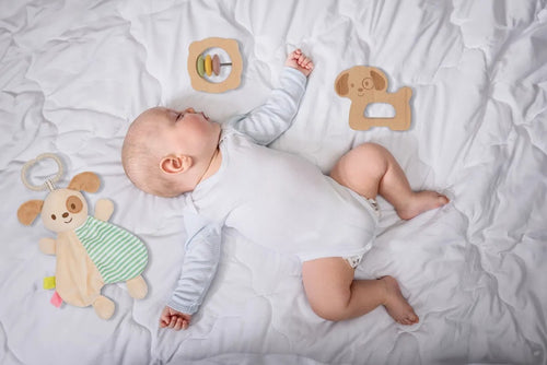 Houten Babyspeelgoed Set
